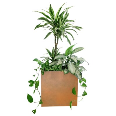 Elegance W&uuml;rfel 40, Glatt matt Cortenstahl-Optik