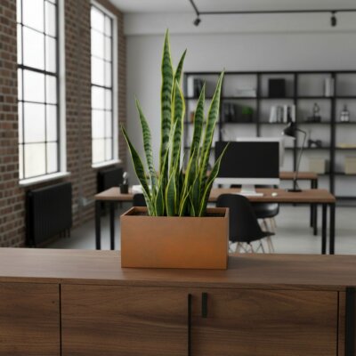 Elegance Sideboard quadratisch 40/25 Hydro, Glatt matt...