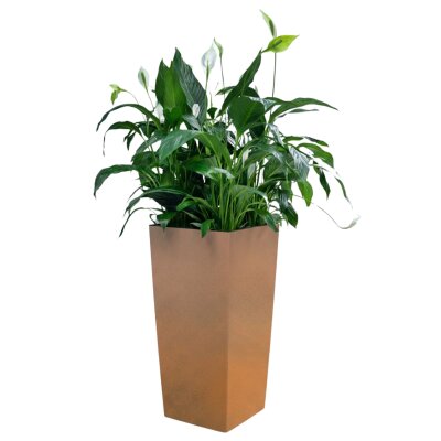 Elegance S&auml;ule quadratisch 40U30/75 Hydro, Glatt...