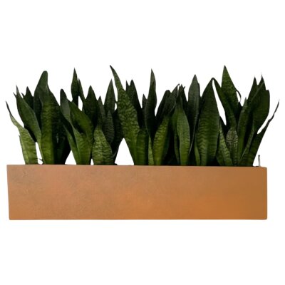 Elegance Wandgef&auml;&szlig; rechteckig 80X22/22 Hydro,...